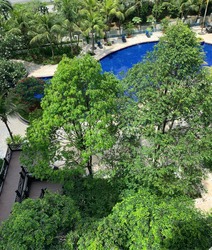 Sanctuary Green (D15), Condominium #202112932